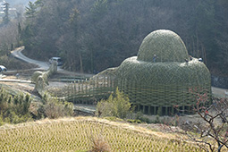 地域コーディネート