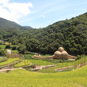 中山の千枚田と小豆島の家