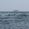 tide current