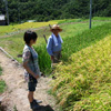 中山の千枚田