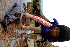 ファミリーカヤック